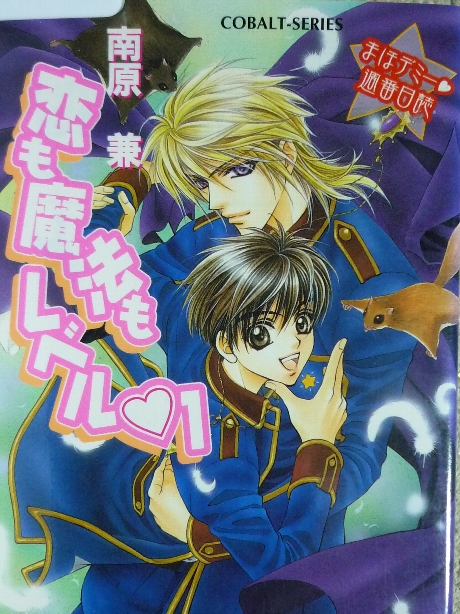 恋も魔法もレベル１　南原兼(著)